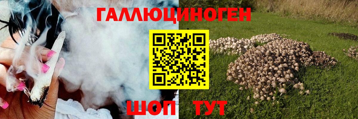 Галлюциногенные грибы мухоморы  Вход с VPN  Можга 