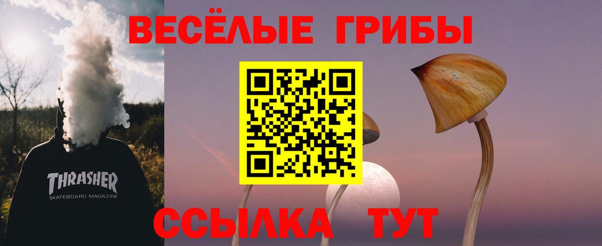 Галлюциногенные грибы мицелий Можга